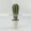 2015 High quality Potted artificial cactus plants