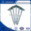 super quality factory price twist umbrella roof nail