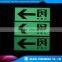 photoluminescent vinyl/glow in dark sticker/luminous vinyl