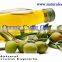 Private Label Extra Special Castor Oil at Best Quality