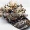 3D Military Sneaky Woodland Leaf Cap Hunting Blind Cap
