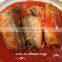 Canned Mackerel in Tomato Sauce