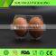 China TOP10 manufacturer plastic egg tray carton