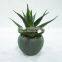 Mini Artificial Potted Aloe Succulent Plant in Concrete Barrel Pot