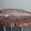 Arizona petrified wood coffee table