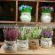 High Quality Bonsai Artificial Lavender Flower Making Artificial Bonsai