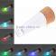 led liquor bottle lights
