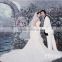 20ft x 20ft Hand Painted Cotton Photo Studio Backdrops For Wedding