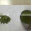 Matcha Green Tea