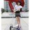 Two wheel smart electric scooter, balance folding electric scooter,adult kid kick scooter