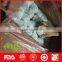 China red chief apple export to france