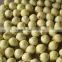 2015 fresh ya pear packing in carton with good quality