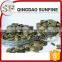 Grade gws pumpkin seeds kernels for sale in high quality