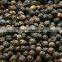 VIETNAM CLEANED BLACK PEPPER HIGH QUALITY (SKYPE: VISIMEX09)