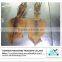 Selling dried seafood squid