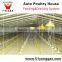 Wincore in South Africa Auto Poultry House Africa Automatic Breeds Of Broiler Chickens