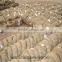 16 Gauge Black Annealed wire for Binding Wire