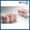 Made In China Polystyrene Foam Egg Box Making Machine