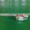 Portable fog sprayer (five years engine guarantee)