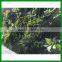 FO-GW018 Outdoor Green Plant Wall for Decor