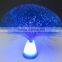 2016 new designed Magic LED fiber optical light