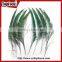 Cheap Down Raw Material Green Natural Peacock Feather for Sale
