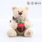 EN71 hot sale custom teddy bears with bag , plush toy teddy bear, plush toy for kids