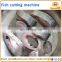 Fish cutting machine , fish slicing machine , fish fillet machine for sale