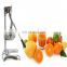 Professional Home Use small fruit orange juicer machine