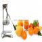 Factory direct supplier lemon juicer making machine for home use