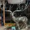  Iron Mesh Elephant Sculpture  Mirror Light Animals