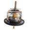 8-98017027-0 8-98017027-1  Automotive thermostat for ISUZU D-MAX NKR NQR 4JJ1 4JK1