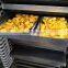 high quality fruit/vegetable industrial automatic vacuum freeze dry freeze