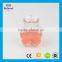 Most popular peach blossom shape 100ml clear glass wishing bottle