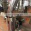 Fully Automatic 100g 200g 300g 400g 500g Cooked Rice Packing Machine Price