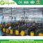 Small scale canned mandarin orange processing plant