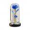 Hot Selling LED Light Decorative Rose in Glass Dome for Mother's Day Gifts Weddings Wholesale Supply