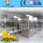 Oil Piston Pump Type Filling Machine For Sale, Machine To Fill Bottle Oil And Liquid