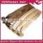 Fast Selling Cheap Products Double Drawn Soft No Tangle No Shedding Clip On Hair Extention