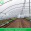 Low Cost Greenhouse With Side Ventilation