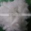 1.2DX32MM white hollow siliconized polyester staple fiber