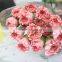 Cheap wholesale high quality fresh cut flowers Carnation cut flower