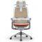 luxury office chair wholesale with mesh back GT1-WTY-C