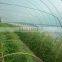 etfe film greenhouse