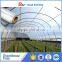 PE protective agricultural plastic film for greenhouse