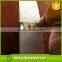 Nonwoven Technics and 1-8m Width PP non woven fabric