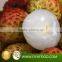 fruits and vegetables litchi /litchi fruit/fresh litchi not canned