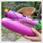Hot Sell Unique Umbrella Sun And Rain Folding Umbrella Eggplant Shape Umbrella