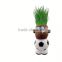Home Decoration small planting pots terra cotta planters where to buy plant