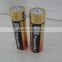 aa alkaline battery for china market and europe market